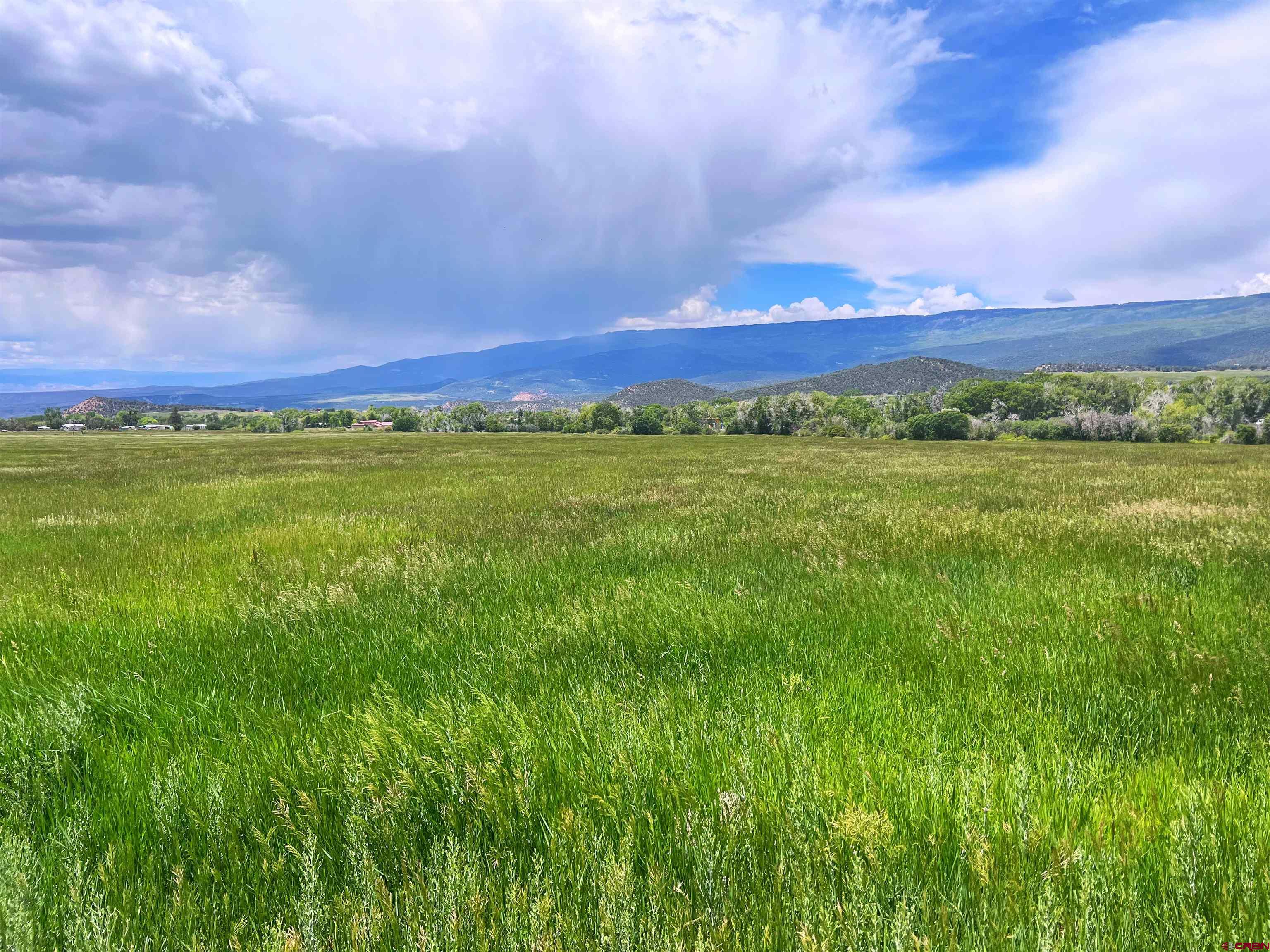 65 Highway 65 Cedaredge, CO 81413 - Photo 4 of 15 a view of an lush green mountain