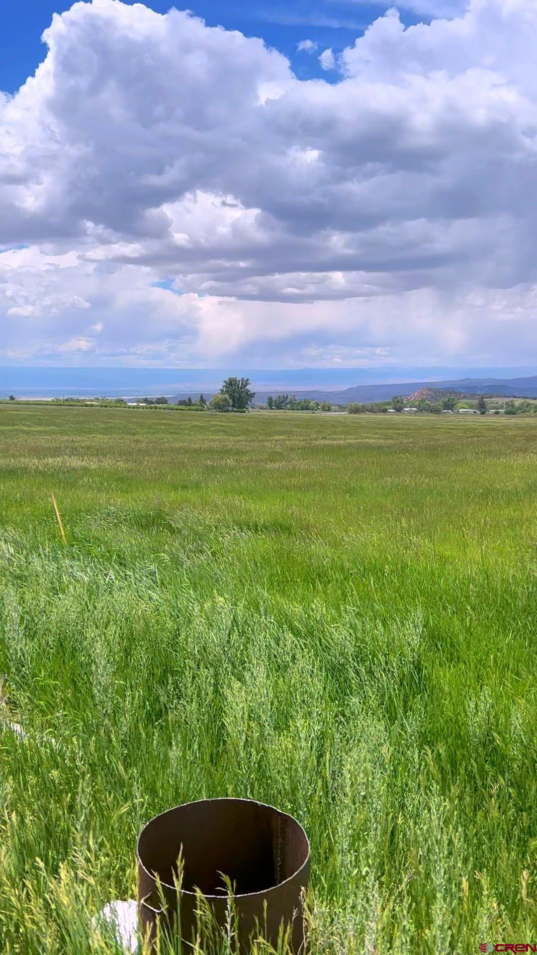 65 Highway 65 Cedaredge, CO 81413 - Photo 5 of 15 a view of outdoor space and yard
