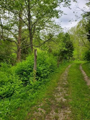 0 Abrams Road Vevay, IN 47043 - Photo 2 of 13