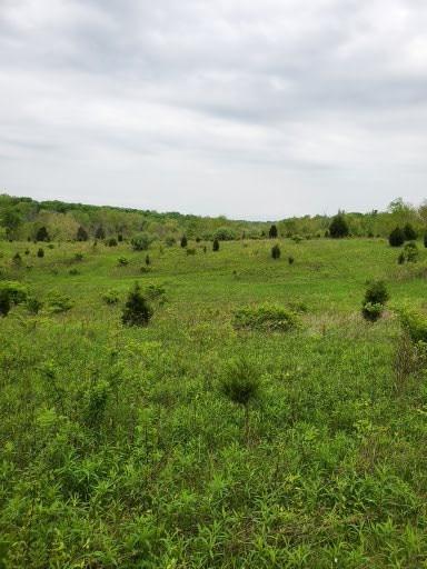 0 Abrams Road Vevay, IN 47043 - Photo 5 of 13