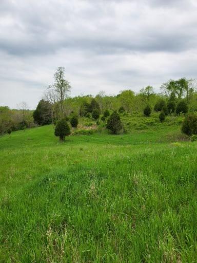 0 Abrams Road Vevay, IN 47043 - Photo 8 of 13