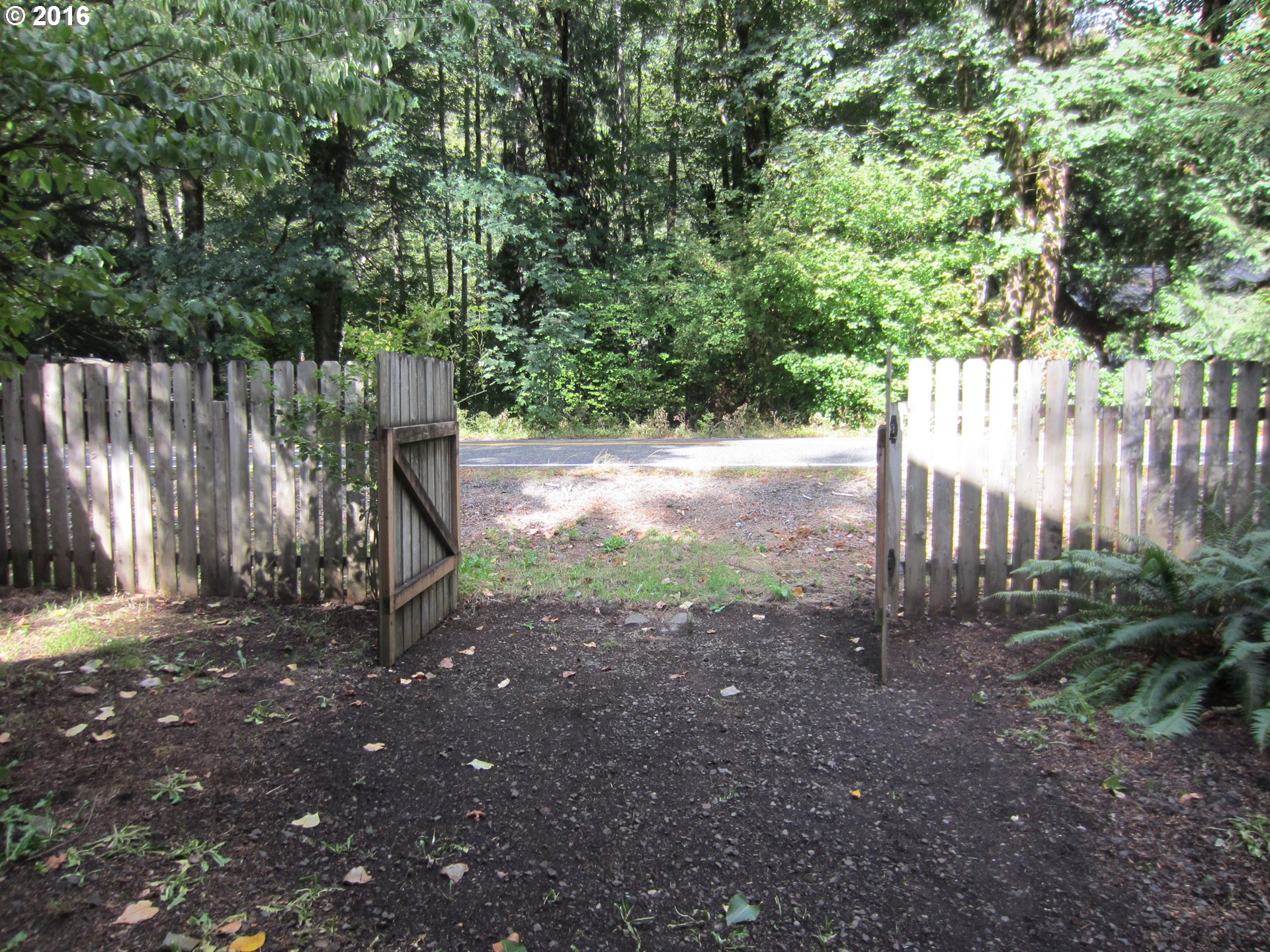 65655 East Timberline Drive Rhododendron, OR 97049 - Photo 24 of 24 a backyard of a house with lots of green space