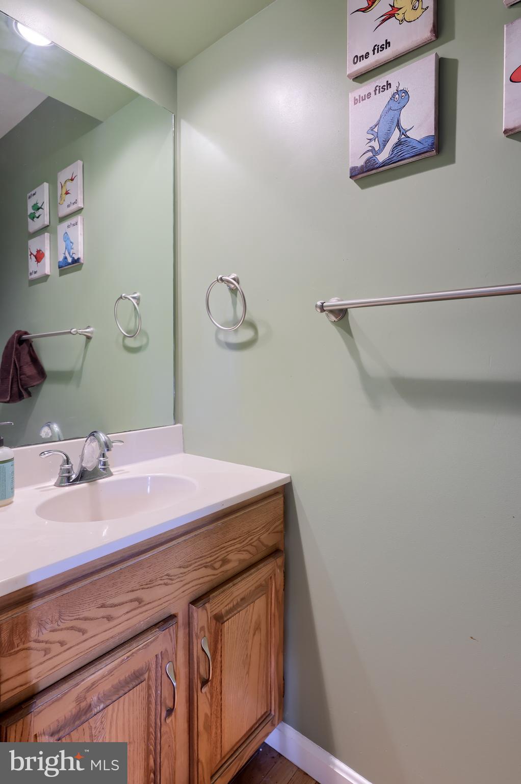 48 East Meadow Valley Road Lititz, PA 17543 - Photo 22 of 34 Main Level Powder Room