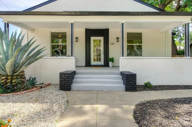 a living room with furniture and a potted plant