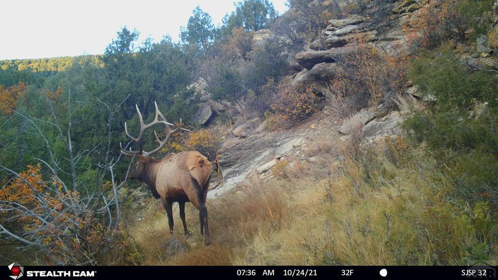 Tbd Turkey Run Trinidad, CO 81082 - Photo 6 of 60