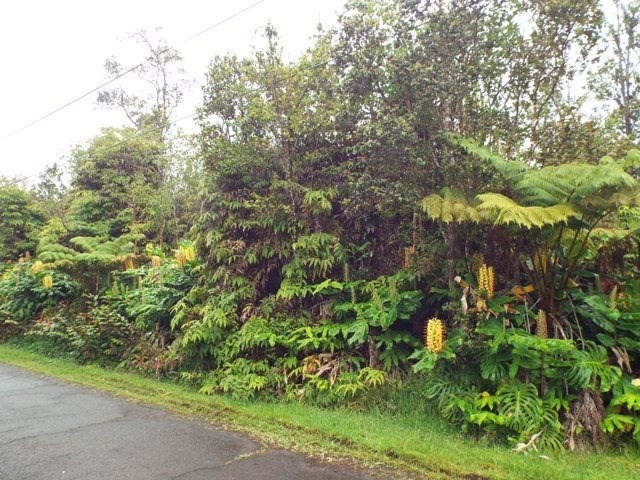 2103 Lot Volcano, HI 96785 - Photo 1 of 2