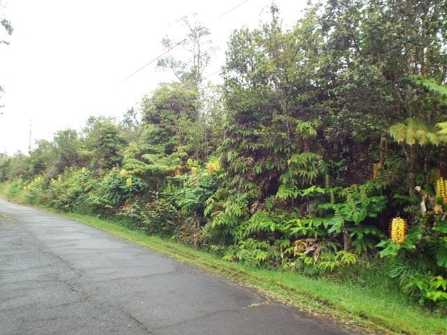 2103 Lot Volcano, HI 96785 - Photo 2 of 2