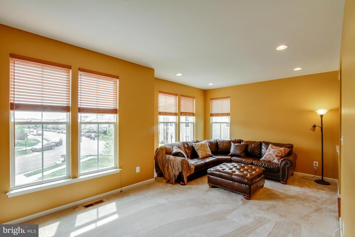 9087 Ribbon Falls Loop Bristow, VA 20136 - Photo 11 of 29 Family Room
