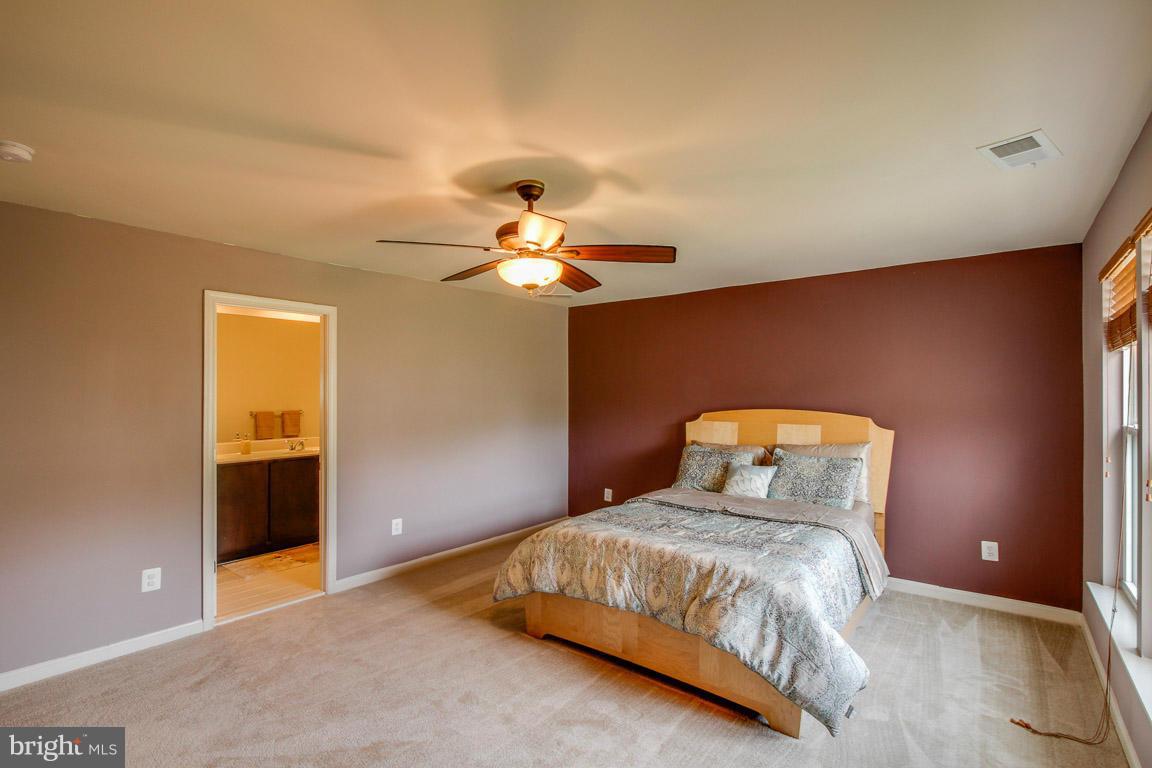 9087 Ribbon Falls Loop Bristow, VA 20136 - Photo 13 of 29 Master Suite w/ Luxury Bath