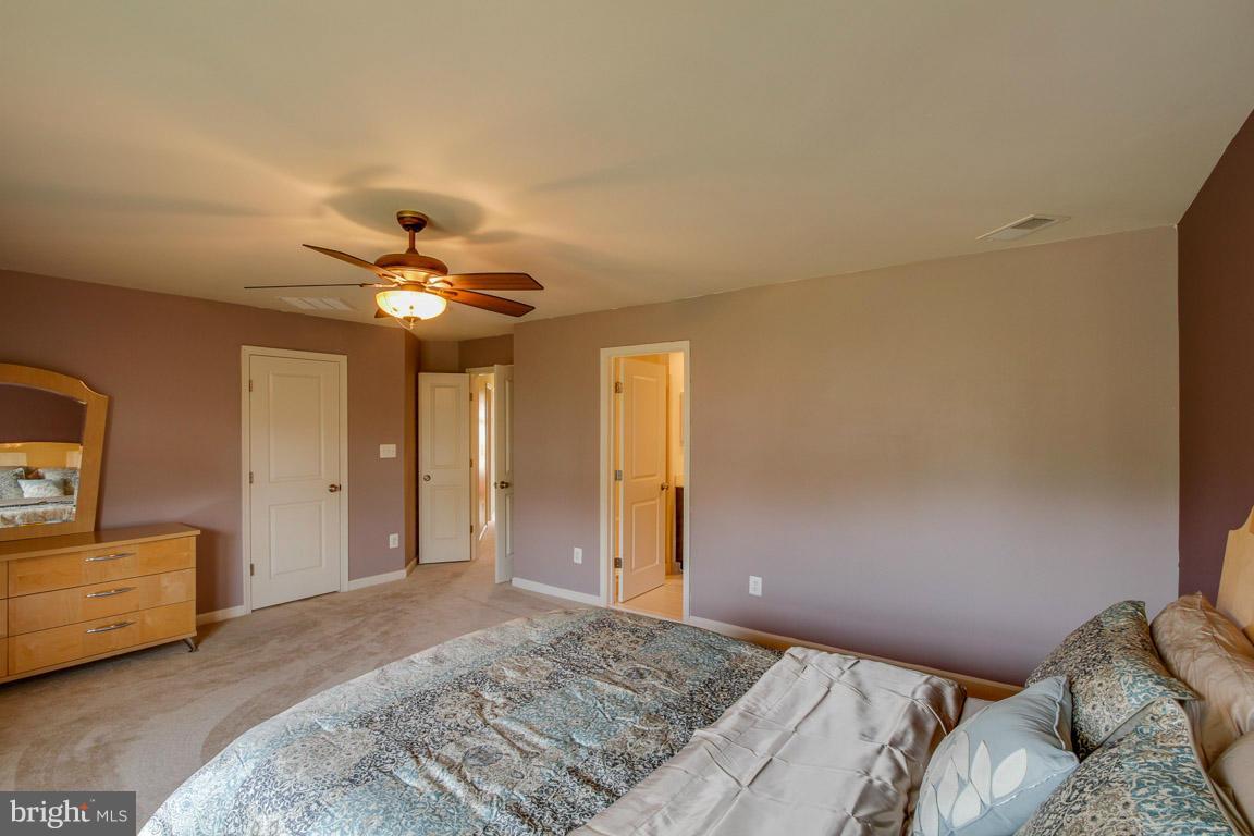 9087 Ribbon Falls Loop Bristow, VA 20136 - Photo 14 of 29 Master Suite w/Walk-in Closet