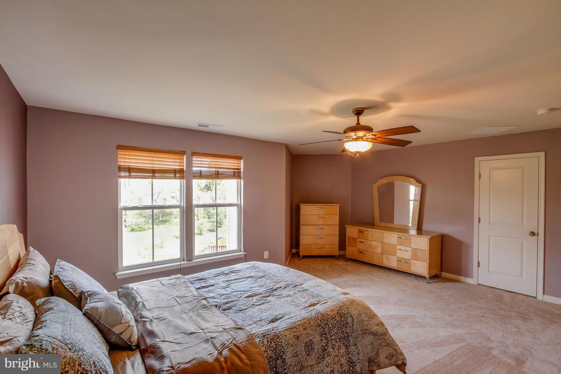 9087 Ribbon Falls Loop Bristow, VA 20136 - Photo 15 of 29 Master Suite