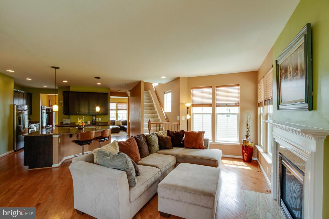9087 Ribbon Falls Loop Bristow, VA 20136 - Photo 3 of 29 Living Room
