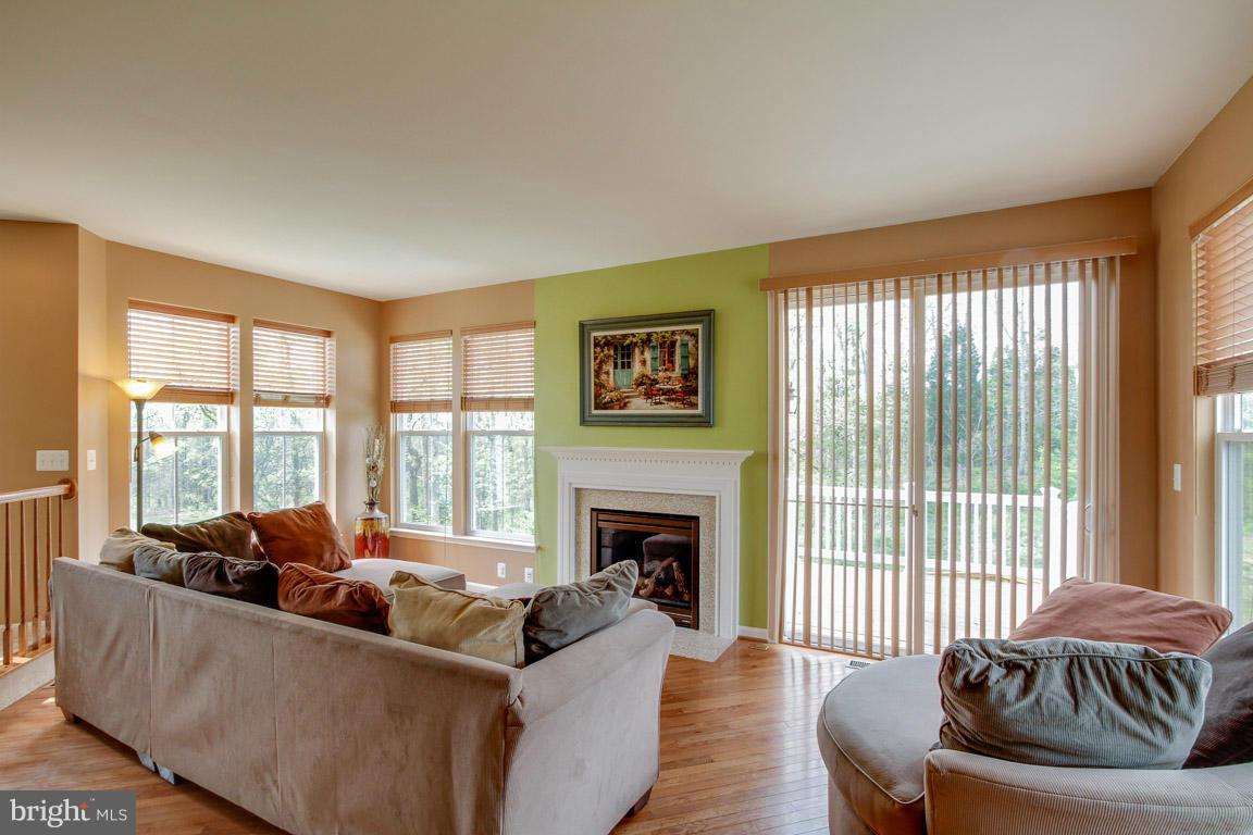9087 Ribbon Falls Loop Bristow, VA 20136 - Photo 4 of 29 Living Room w/ Fireplace