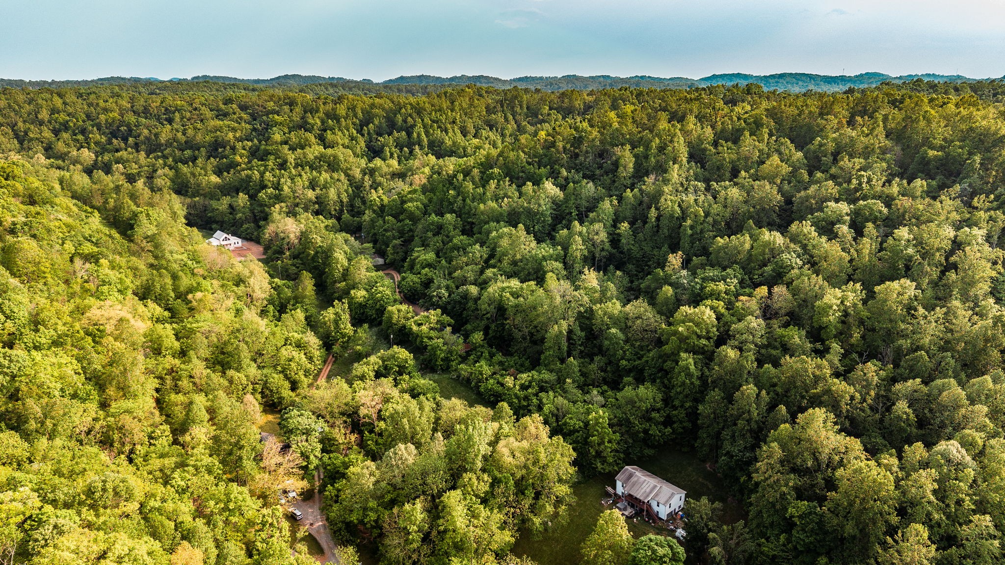 590 Leath Chapel Road Bethpage, TN 37022 - Photo 40 of 41