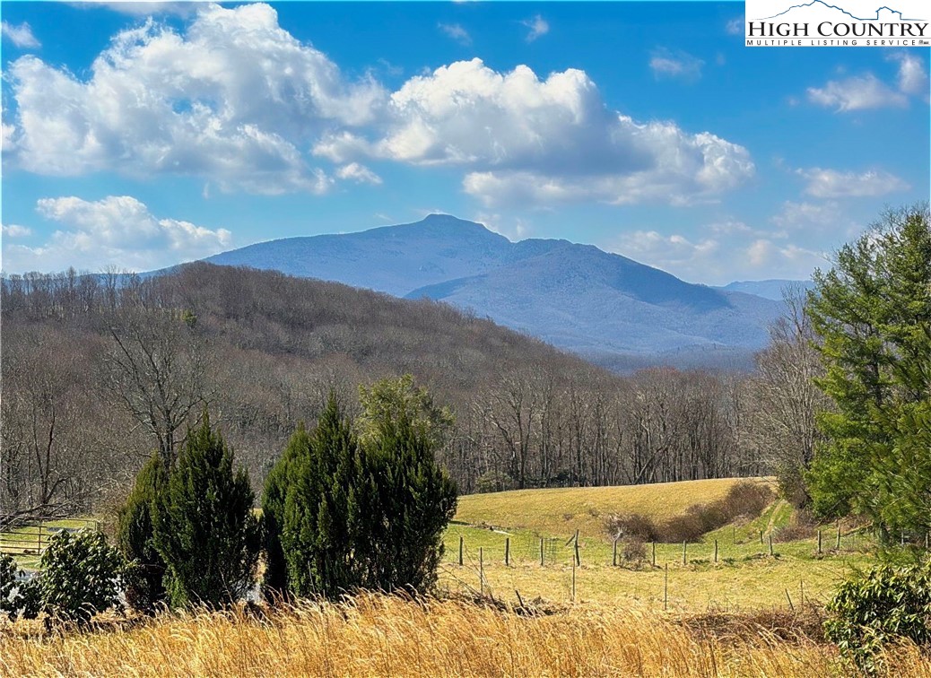 123 Park View Circle Boone, NC 28607 - Photo 2 of 48