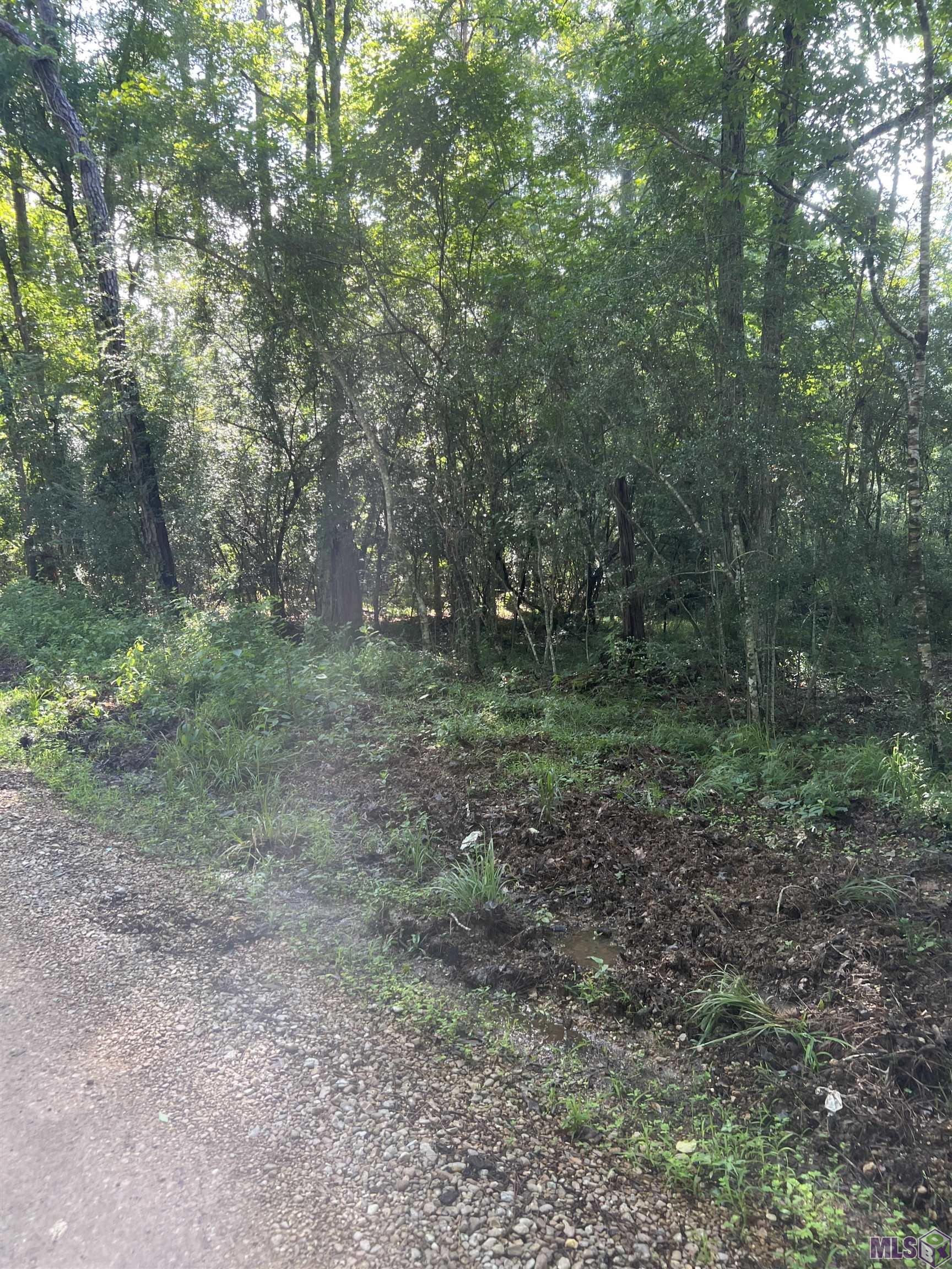 Lot 4 Hepzibah Road Clinton, LA 70722 - Photo 6 of 6