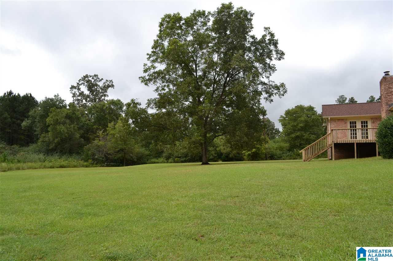 719 Williams Road Jasper, AL 35503 - Photo 49 of 50