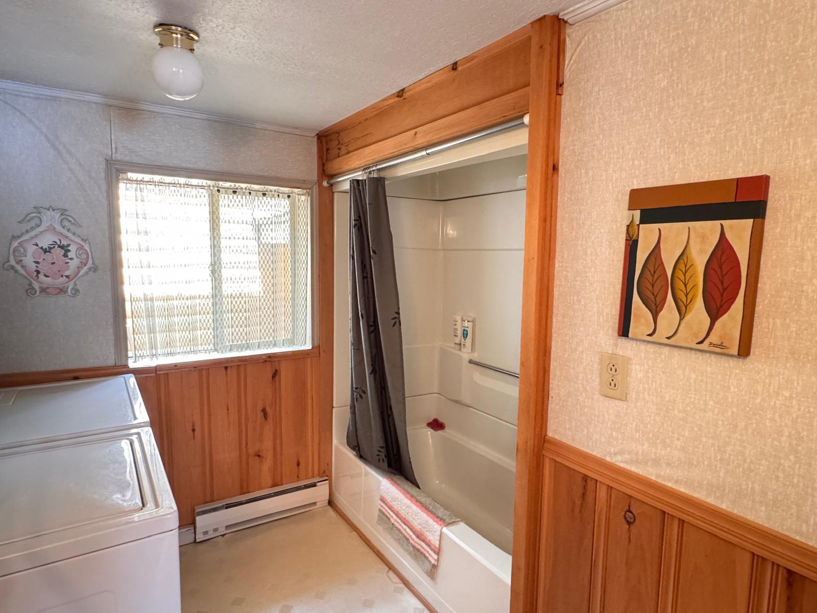 460 East Van Buren Cove Road St. David, ME 04773 - Photo 27 of 43 Bathroom/Laundry Area