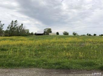 117 Spring Court Worden, IL 62097 - Photo 3 of 3