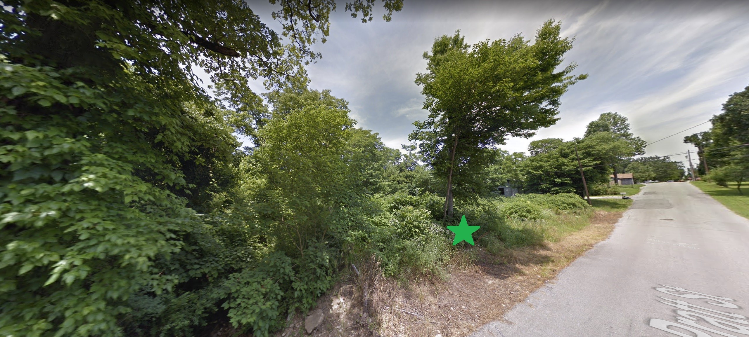 0 South Pratt Street Other, AR 72455 - Photo 4 of 4 a view of a yard with plants and a tree