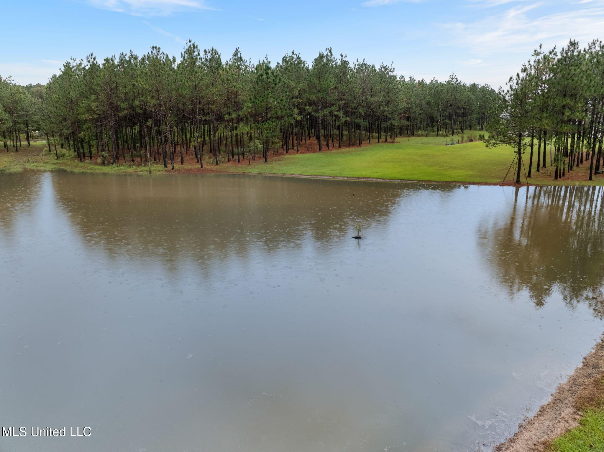 1227 Lambert Lane Southeast Brookhaven, MS 39601 - Photo 41 of 43 1227_Lambert_Ln_SE-41