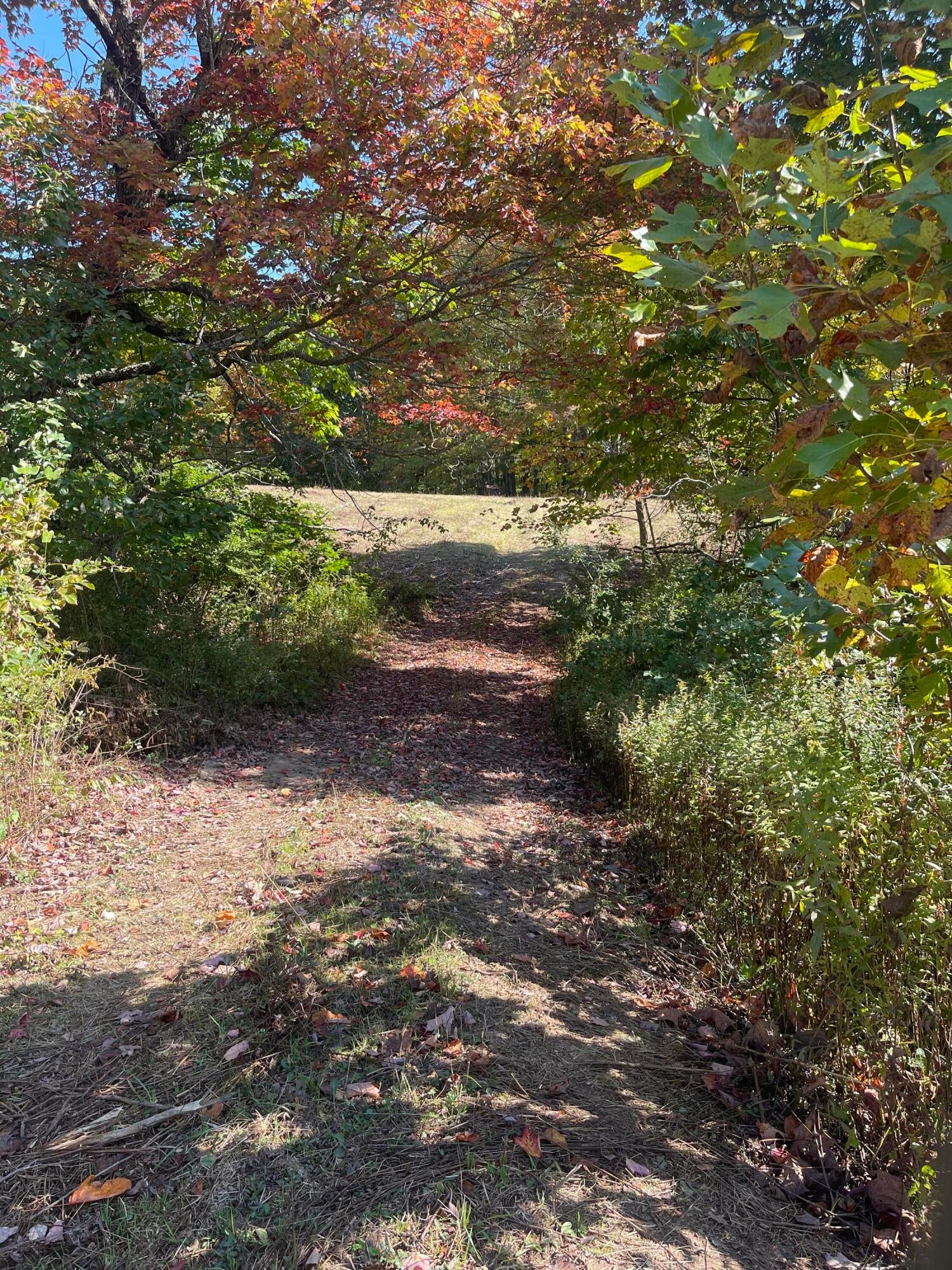 Cornstalk Road Crawley, WV 24931 - Photo 1 of 14 Gallery Image 1