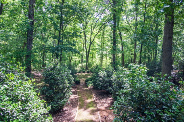 54 Cedar Ridge Court Macon, GA 31210 - Photo 22 of 24 a backyard of a house with lots of green space and trees