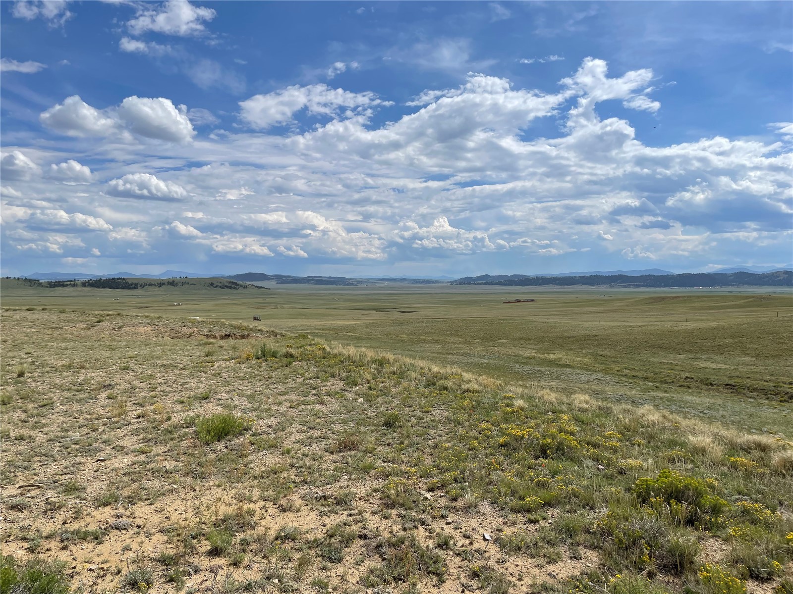 1790 Jackson Road Hartsel, CO 80449 - Photo 6 of 11 Gallery Image 6