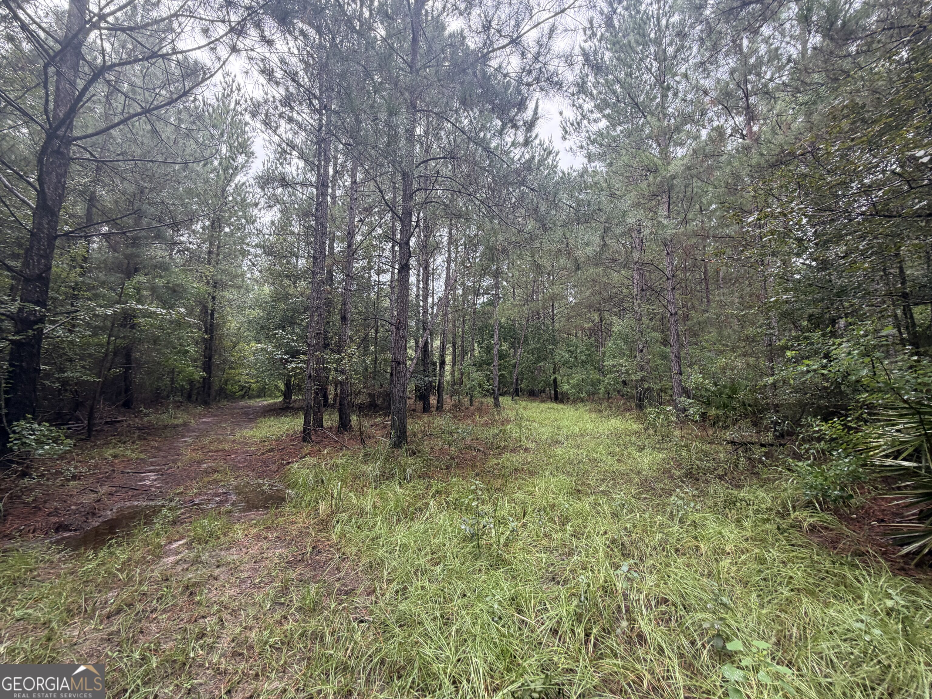 0 Jamestown Road Waycross, GA 31503 - Photo 19 of 92 Gallery Image 19