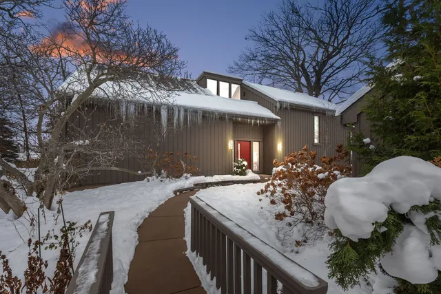 a potted plant sitting in front of a house