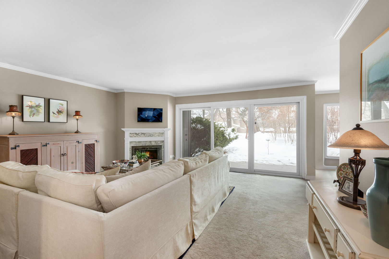 563 Woodview Road, Unit D Lake Barrington, IL 60010 - Photo 3 of 16