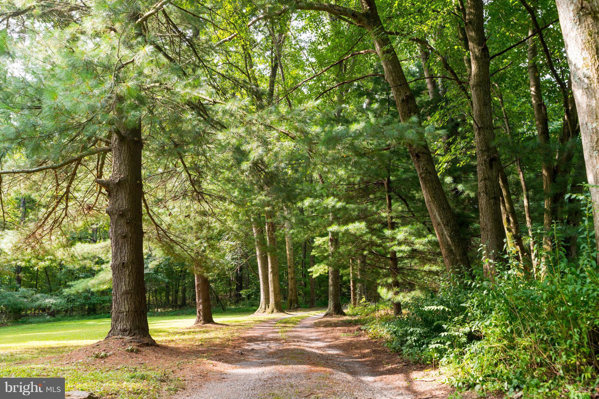 2704 Carrollton Road Finksburg, MD 21048 - Photo 2 of 30 Tree-lined Driveway