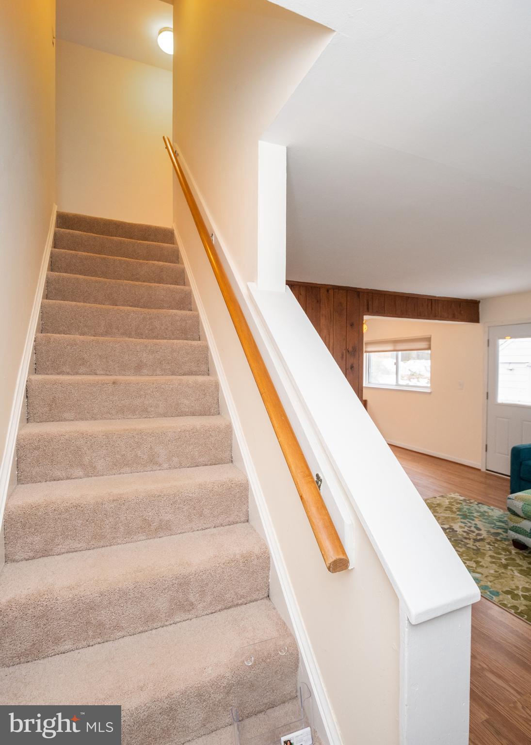 706 Dryden Street Silver Spring, MD 20901 - Photo 22 of 38 Like New Carpet Up Stairs & Throughout Upper Level