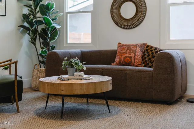 a living room with furniture potted plant and a window
