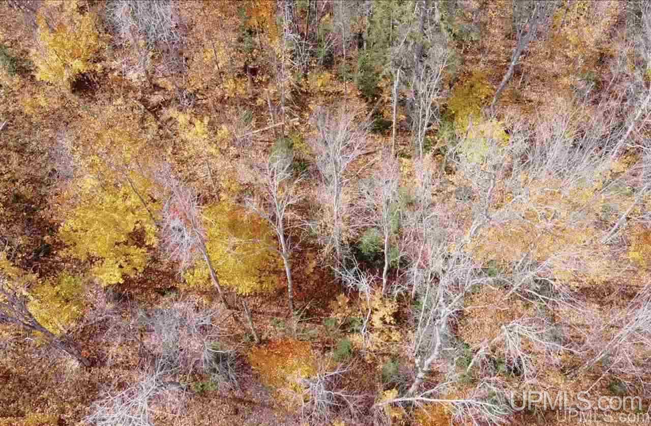 Tbd West Tbd W Co Road Seney, MI 49883 - Photo 5 of 12