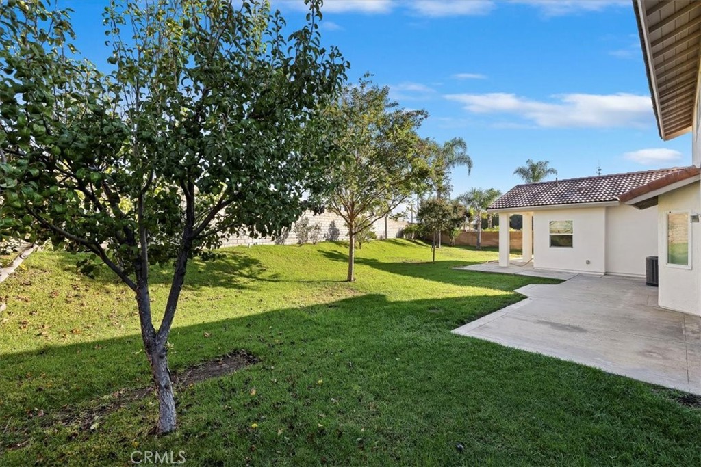 908 West Mesa Drive Rialto, CA 92376 - Photo 9 of 20 a view of a house with a big yard and large trees