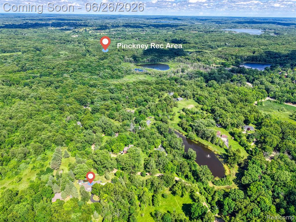 4200 Angels Pass Pinckney, MI 48169 - Photo 13 of 76
