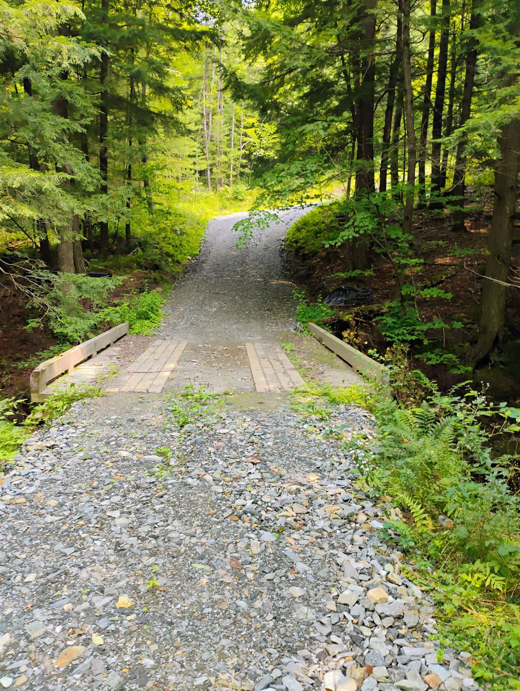 763 Center Road Cornish, NH 03745 - Photo 1 of 13