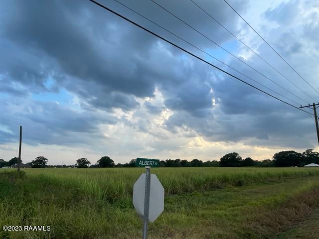 Tbd Albert Road Abbeville, LA 70510 - Photo 2 of 7