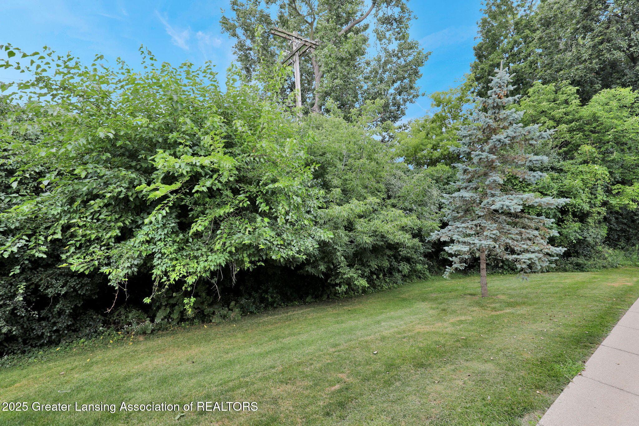 1333 Coolidge Road East Lansing, MI 48823 - Photo 26 of 29 24-web-or-mls-Open Ended Media-23