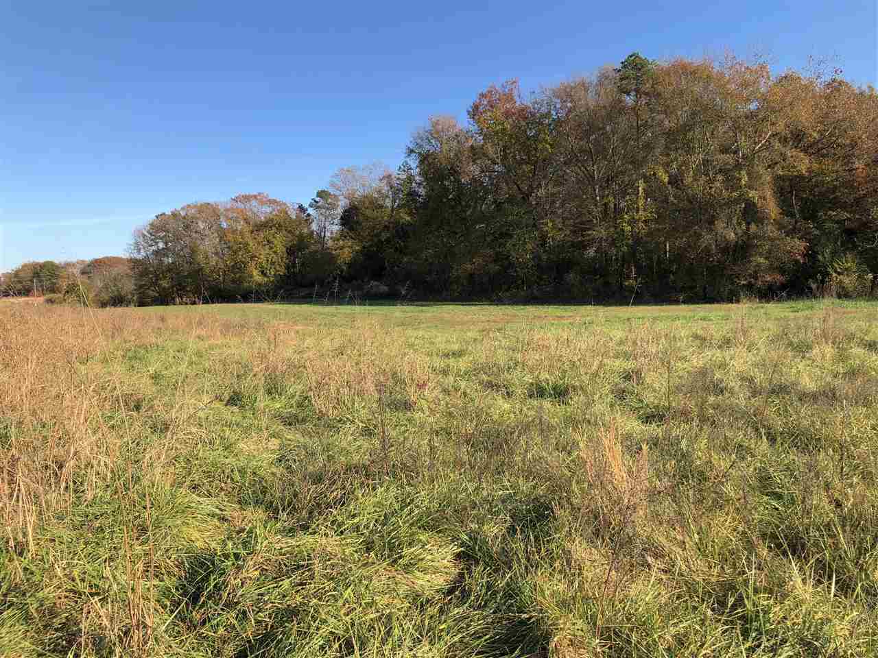 201 Rogers Road Woodruff, SC 29388 - Photo 11 of 22