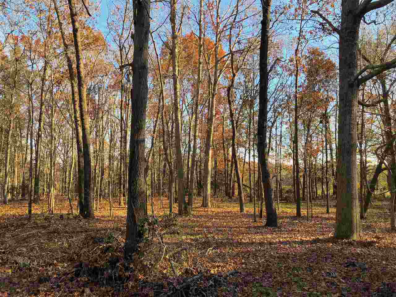 201 Rogers Road Woodruff, SC 29388 - Photo 8 of 22