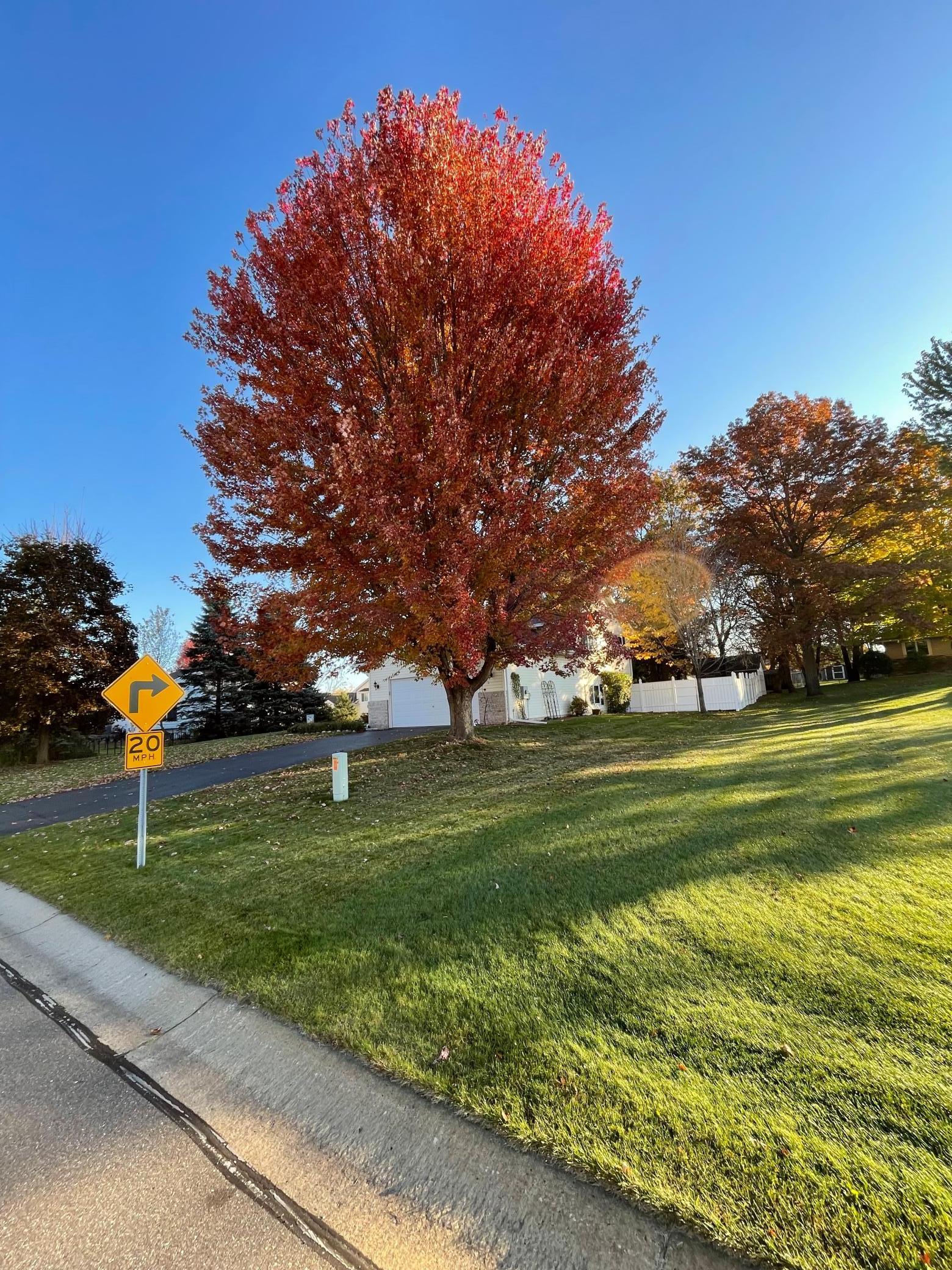 15473 Martin Street Northwest Andover, MN 55304 - Photo 55 of 58
