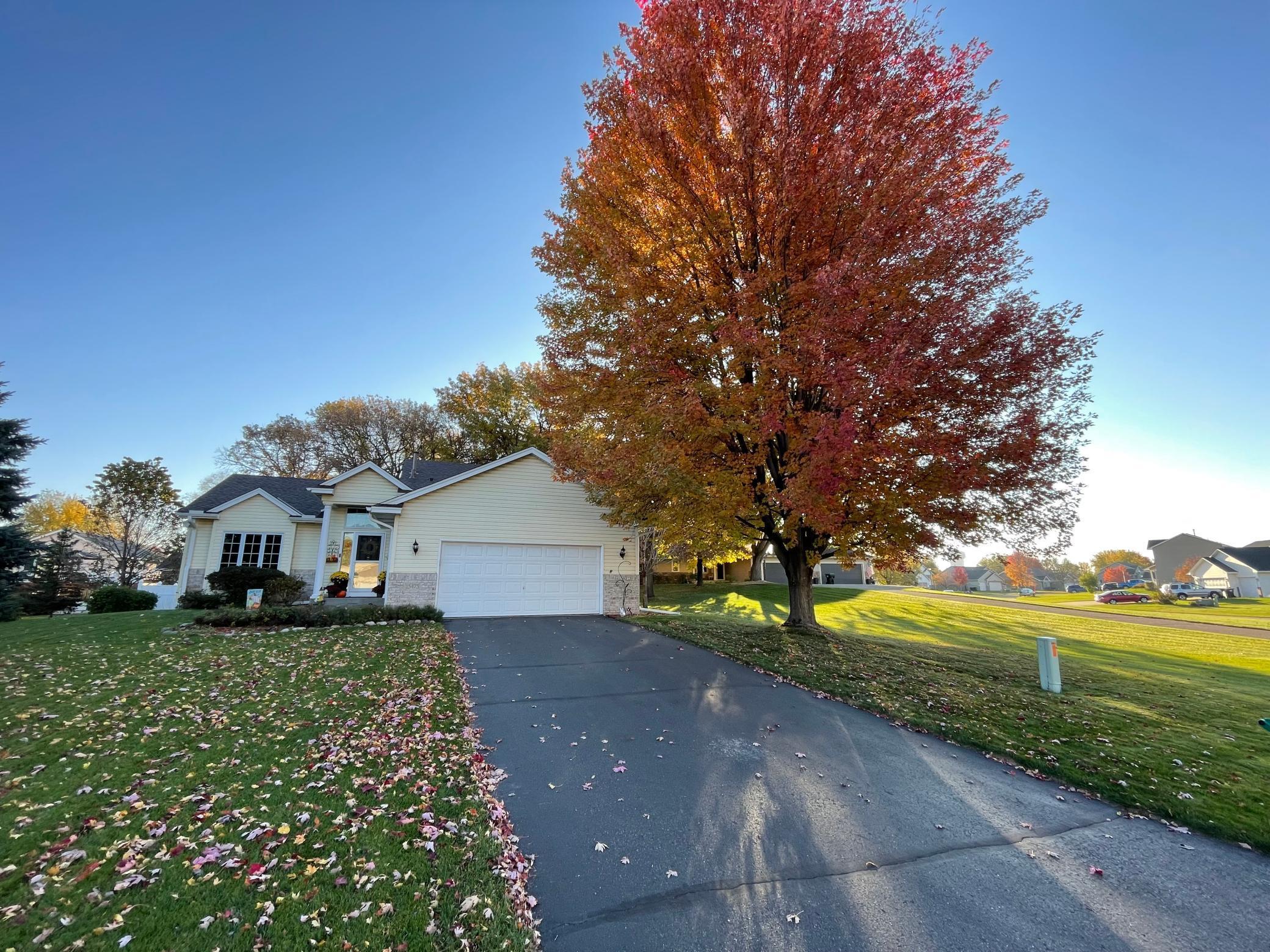 15473 Martin Street Northwest Andover, MN 55304 - Photo 57 of 58