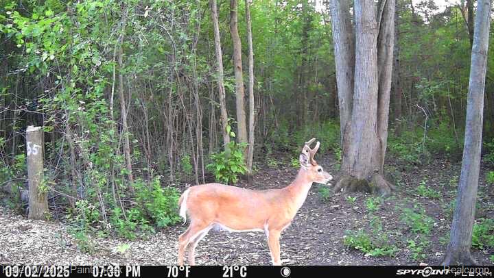 2942 Tatham Road Saginaw, MI 48601 - Photo 50 of 59 IMG_1349.JPG