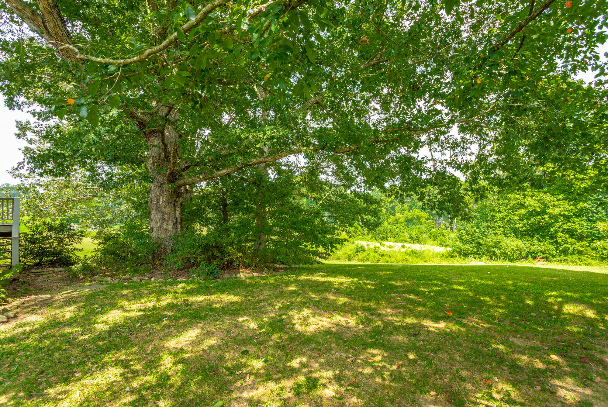 100 Raleigh Drive LaFayette, GA 30728 - Photo 41 of 41 100 Raleigh Dr. HD-12
