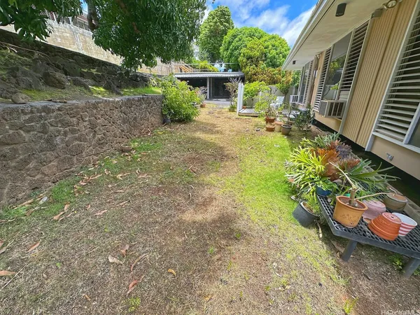 a view of a backyard with plants and a garden