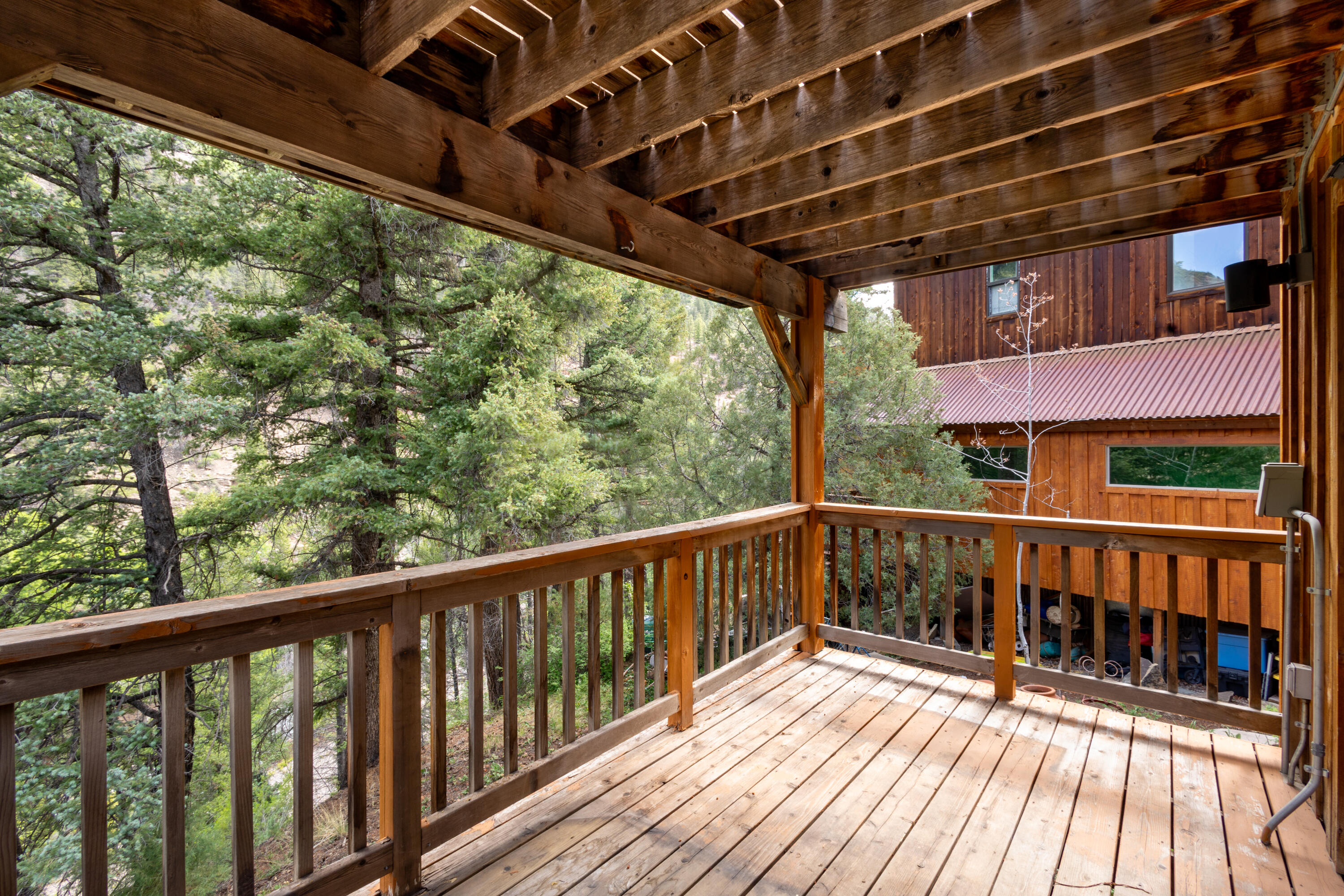 916 Two Rivers Drive Telluride, CO 81435 - Photo 8 of 10 0L0A2516