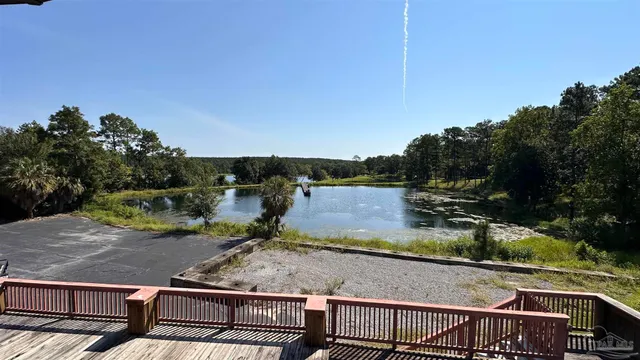 a view of a yard with plants
