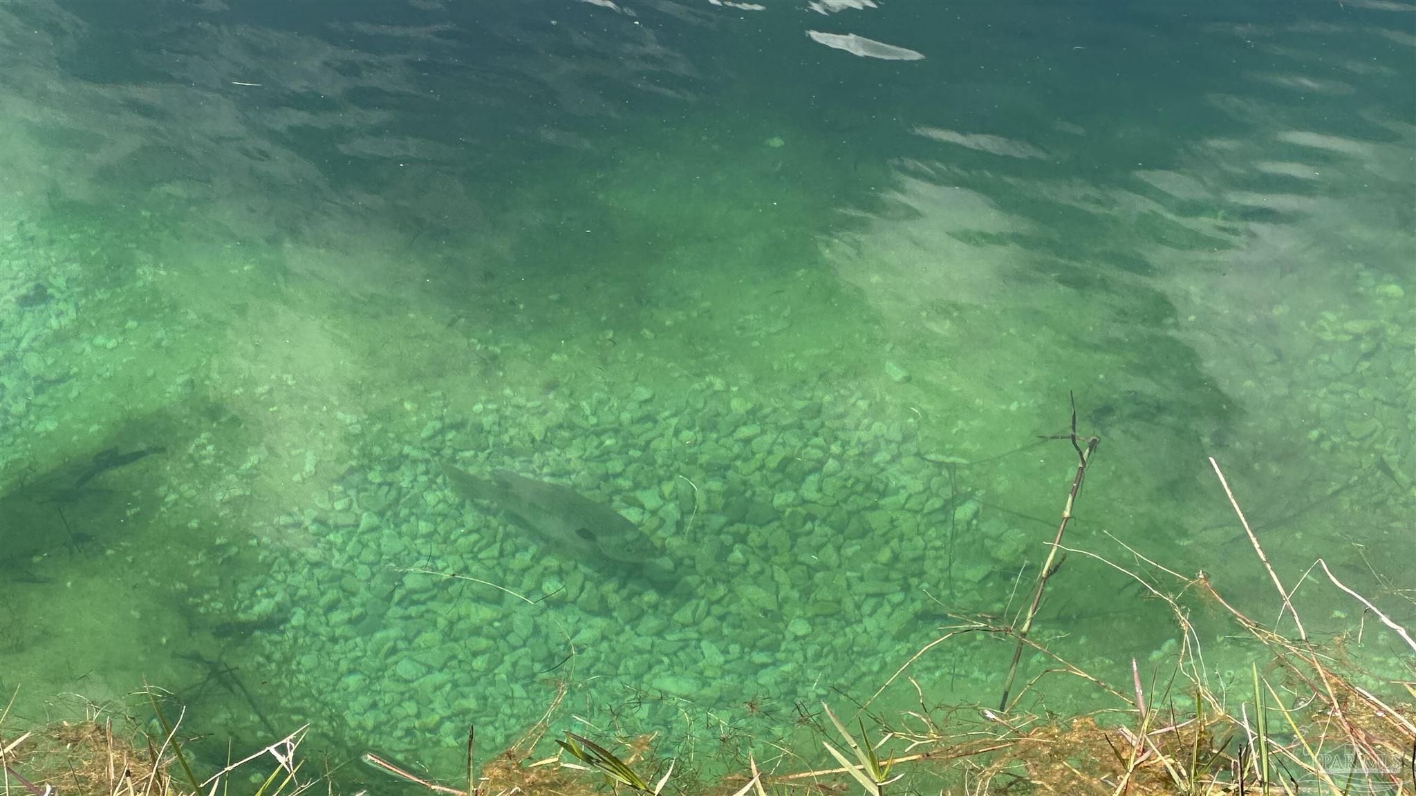 1886 Schnoor Road Jay, FL 32565 - Photo 21 of 32